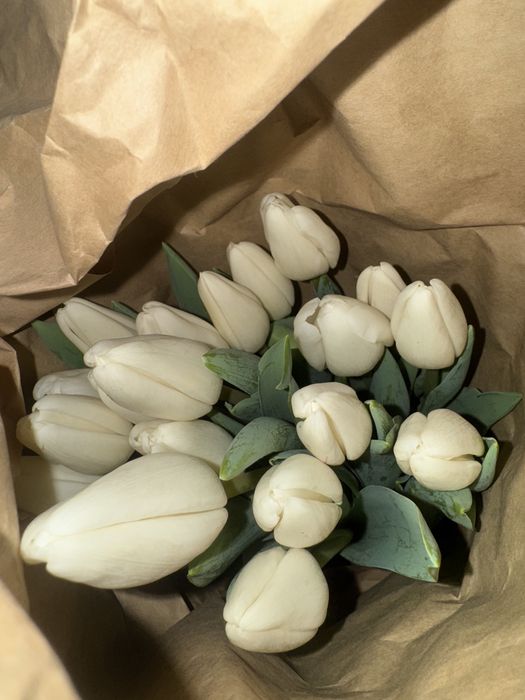 Голландские тюльпаны