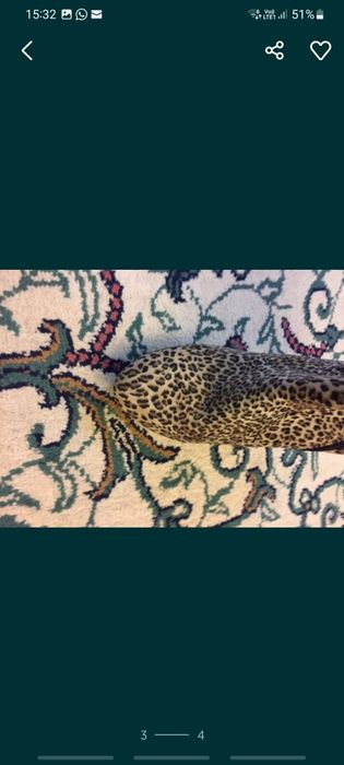 Cizme animal print, nr 39, toc inalt