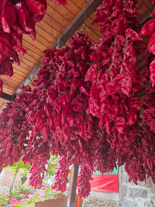 Продавам низи селски пипер