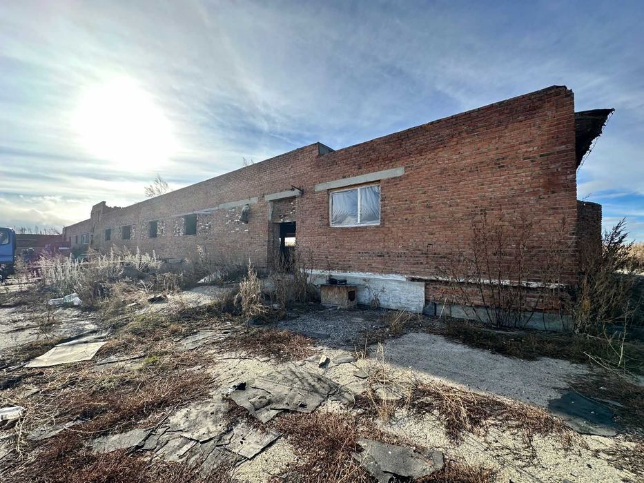 В продаже База новоявленка Алаш 1