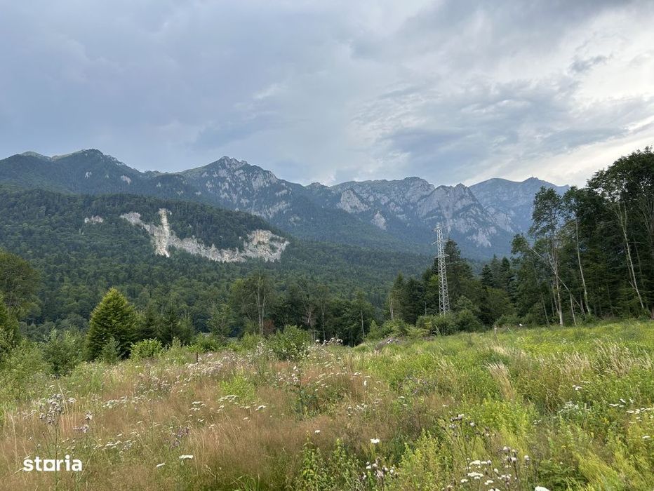 Teren intravilan, 1000 mp, proiect duplex P+E, zona Sinaia - Zamora