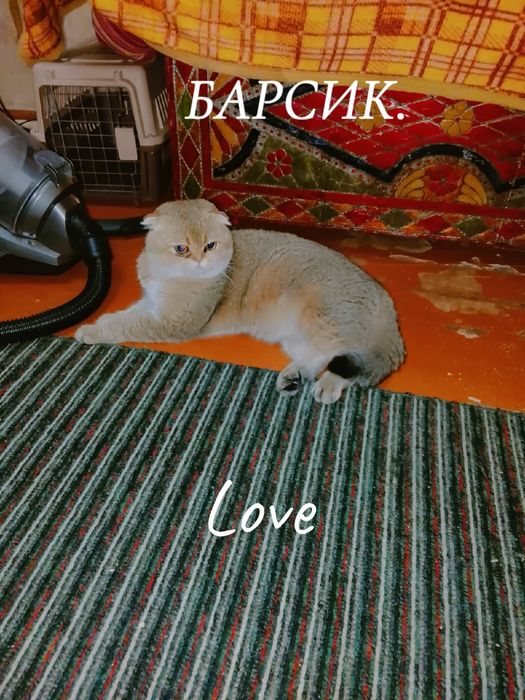 БАРОН.номер 1.Вязкага Киз мушу чакирамиз мехмонга