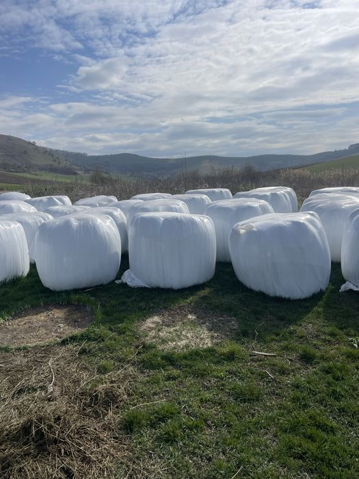 Lucerna infolita coasa a 5 vand sau schimb