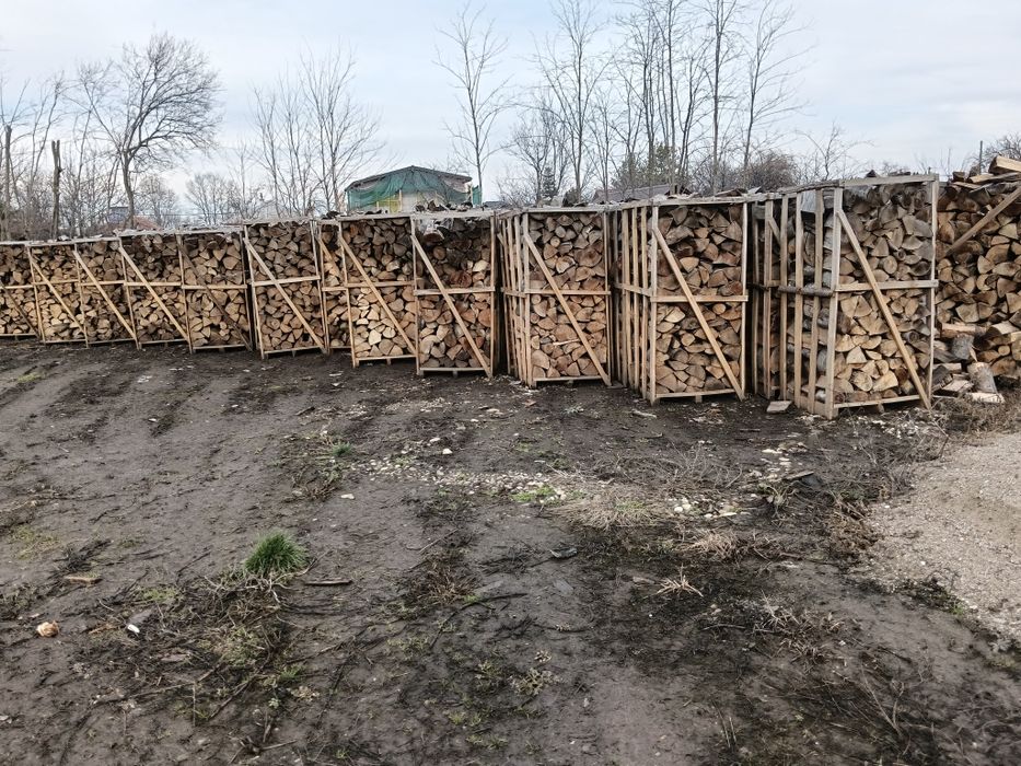 Lemn foc fag - sparte la plasa/palet, des. Fag, Mo., carbuni