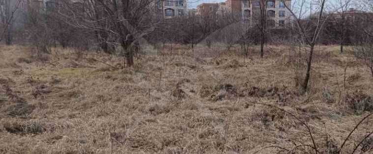 Парцел в Кошарица 75887