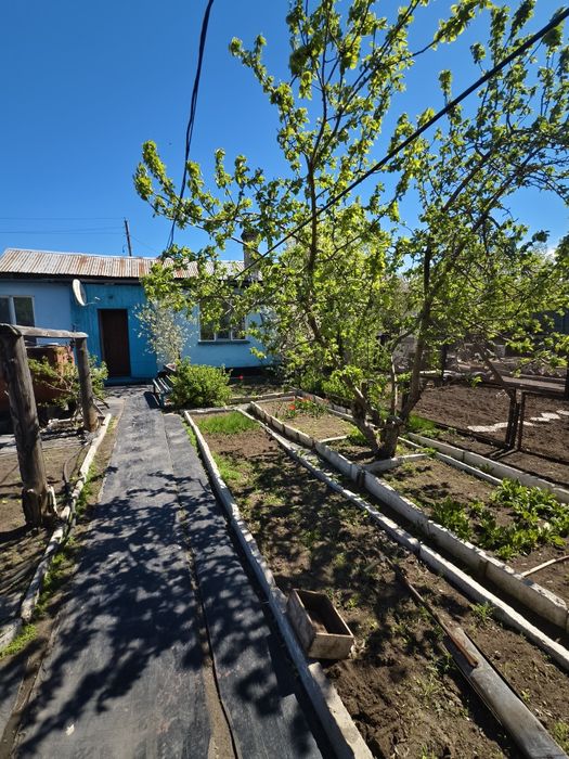 Продаю дом в поселке Шахан