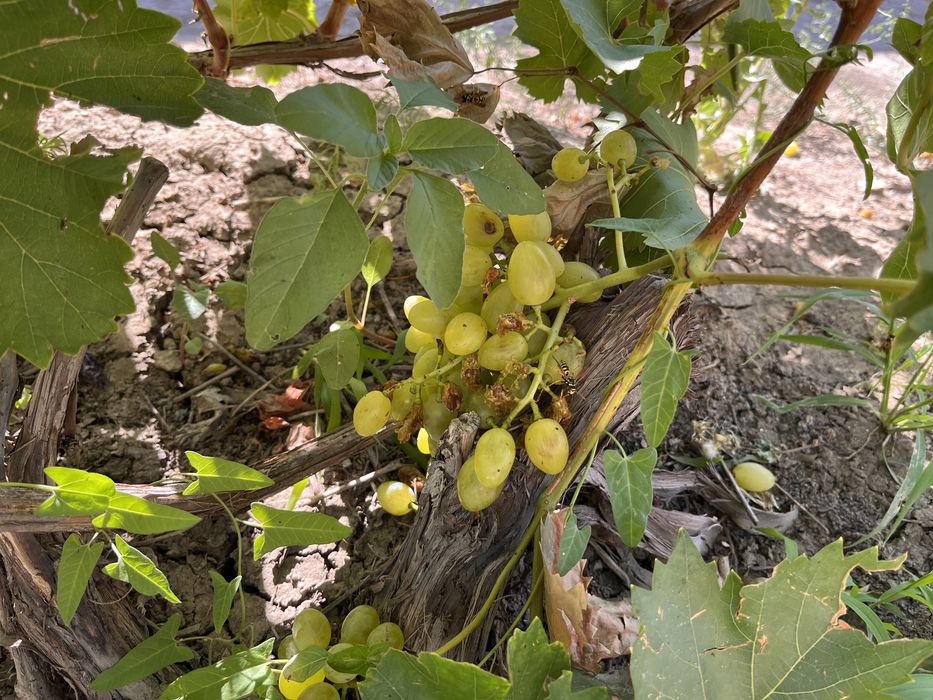 Продаётся частный 2-этажный дом