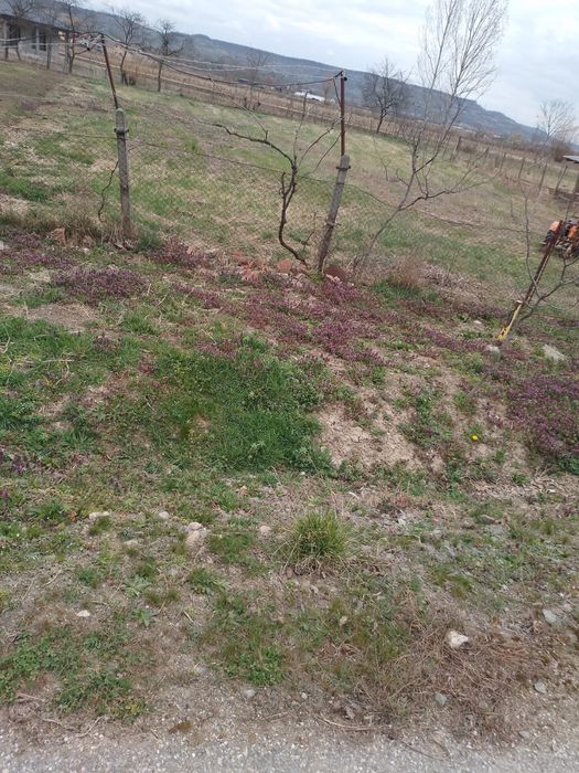 Vand teren in Simleu-Silvaniei, 1411 mp cu utilitati