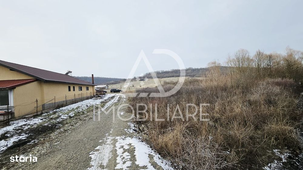 Teren de Vânzare în Turcinesti