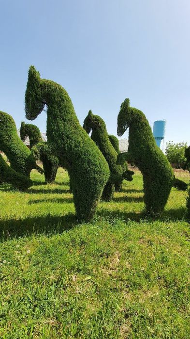 Садовник богбон.