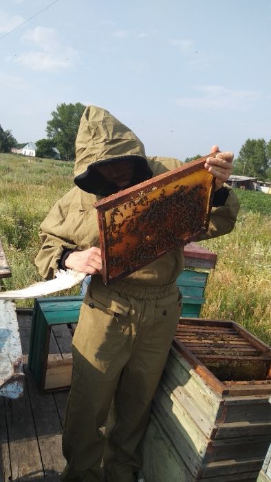 Мёд, забрус, прополис, мед в сотах.