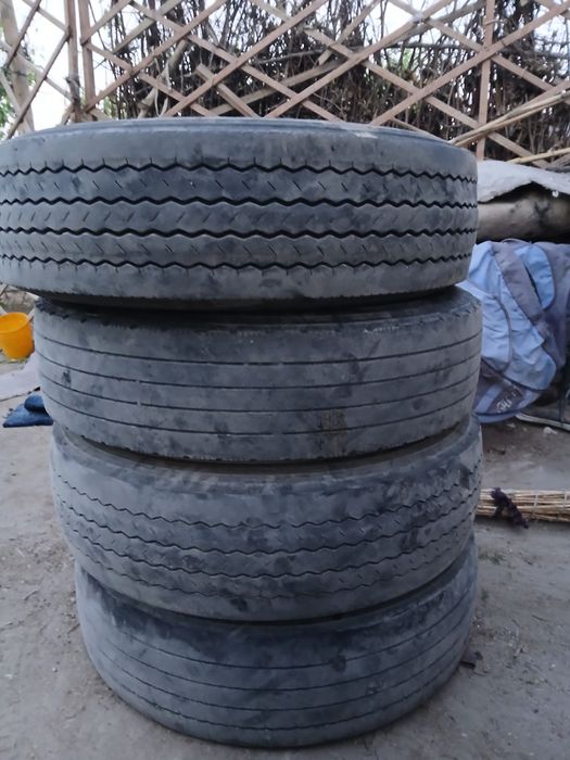 Normal night sastayanyasi