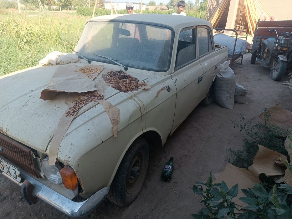 Maskuch 412 sotiladi