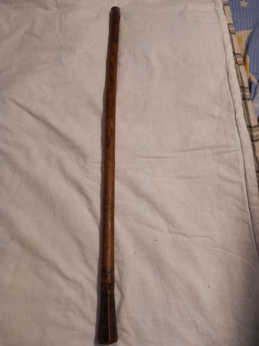 Vand caval, mostenire de peste 100 ani