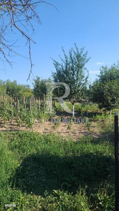Casa cu 3 camere + garaj si grădină | Picleu | Bihor