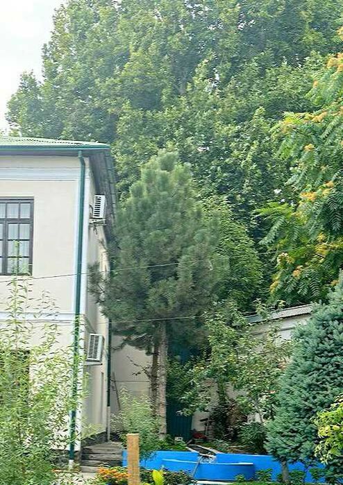 Даре буйида Эксклюзив  Уй сотилади 6 хона 7.2 сотик ЧИРЧИК