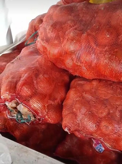 Лук Каратальский, Стардаст репчатый в мешке