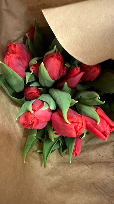 Тюльпаны голландские высокие