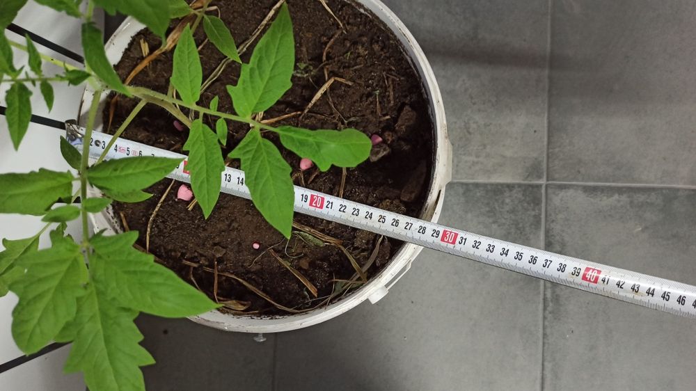 Продам ведра 10л под огород