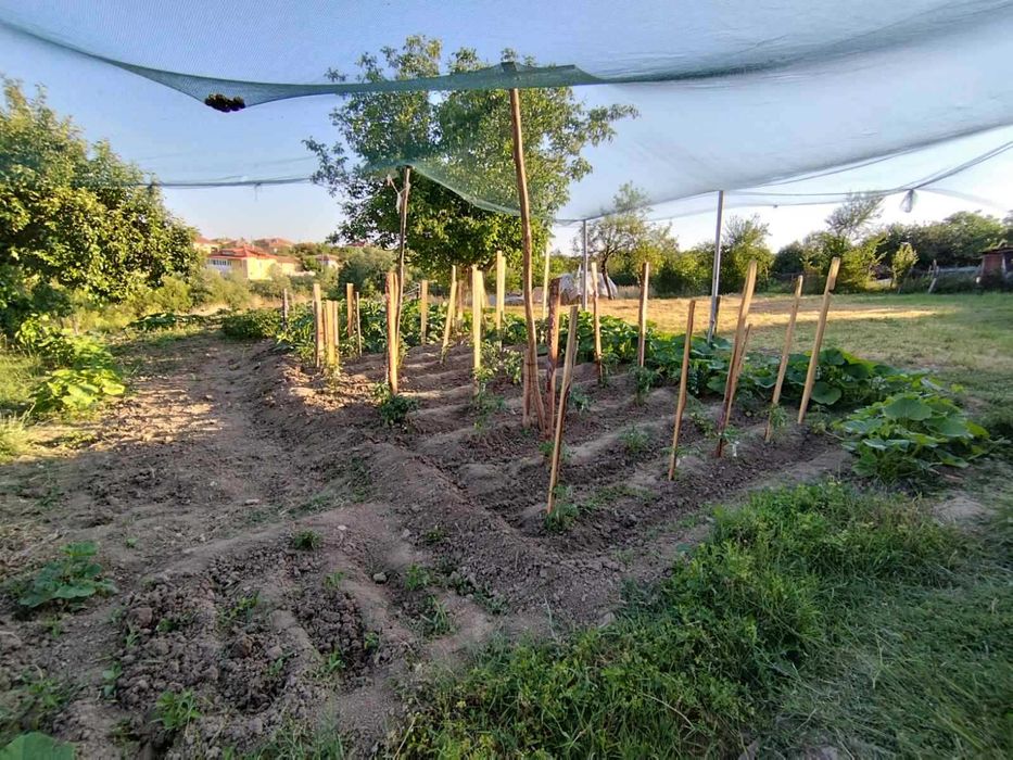 Продава се Къща в с. Беломорци, Област Търговище - 180 кв.м за 680 €/кв.м - Снимка #23