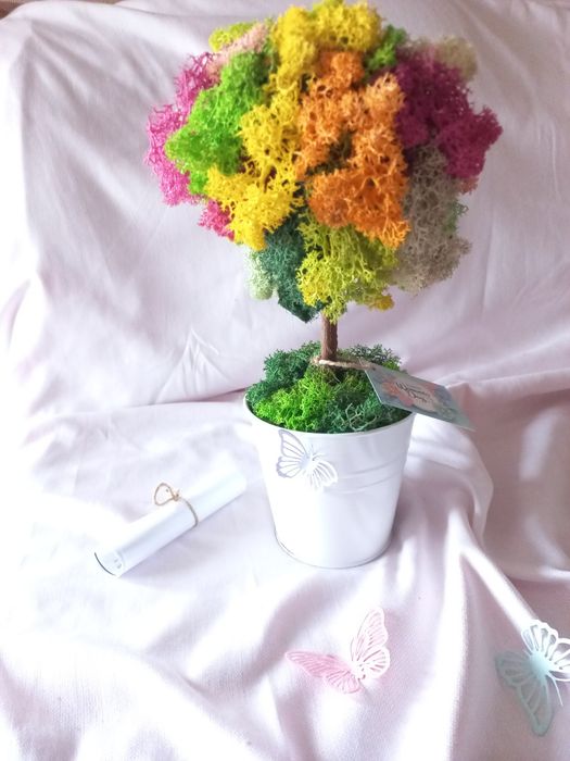 Дръвче със Скандинавски мъх