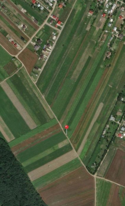 Inchiriez teren 5000 mp deschidere 50 m  in Bod  DJ 130