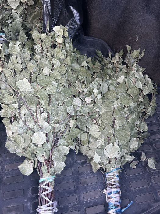 Продам веники для бани береза