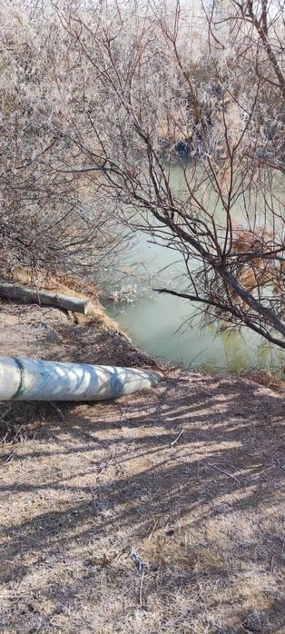 Қора сатылады фазенда