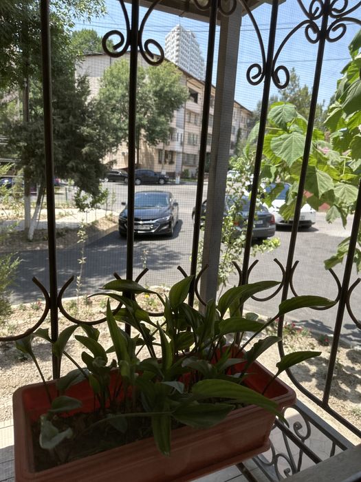 Посуточно аренда!Кунлик ижара!