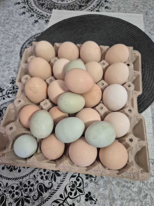 Oua de casa pentru consum