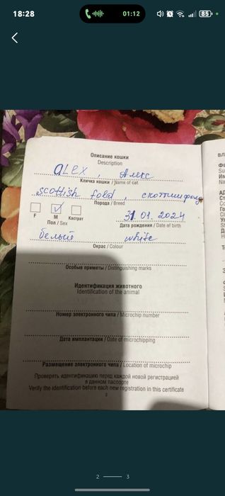 Мушукчалар сотилади зотдор
