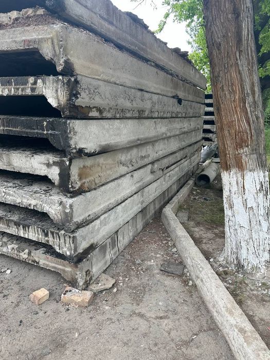 Pilita pines Balkan kalona ferma пнес балка калона ферма