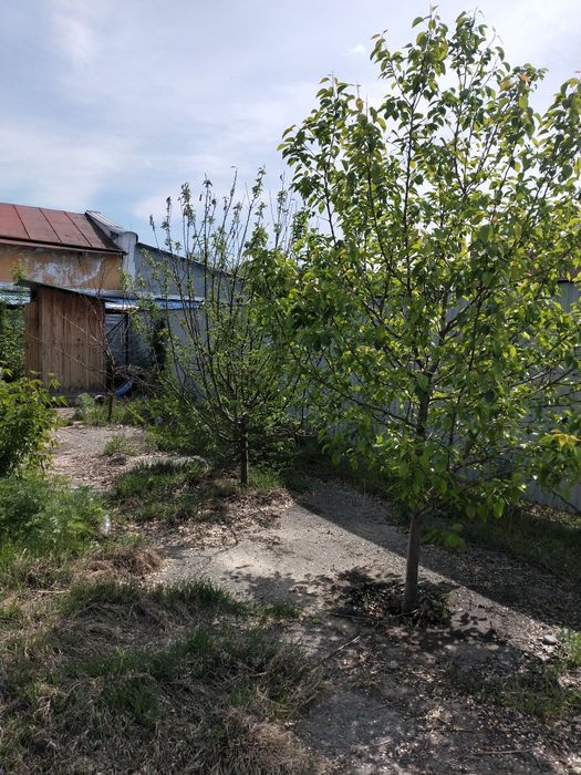 Столярный цех с участком 10 соток земли