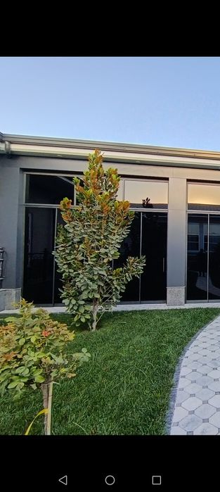 Стиклани окна и двери витражи