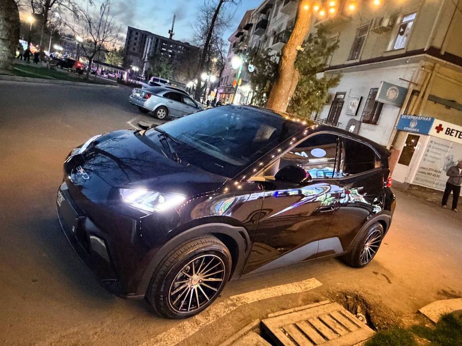 Byd seagull flying 100% тозза