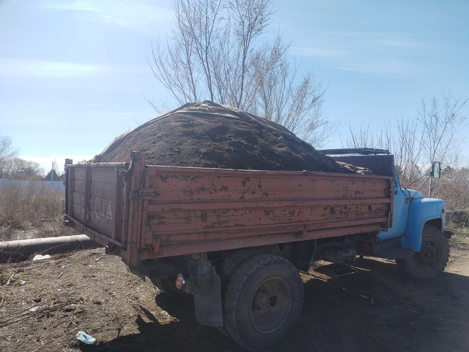 Перегной  Конский Гавяжый