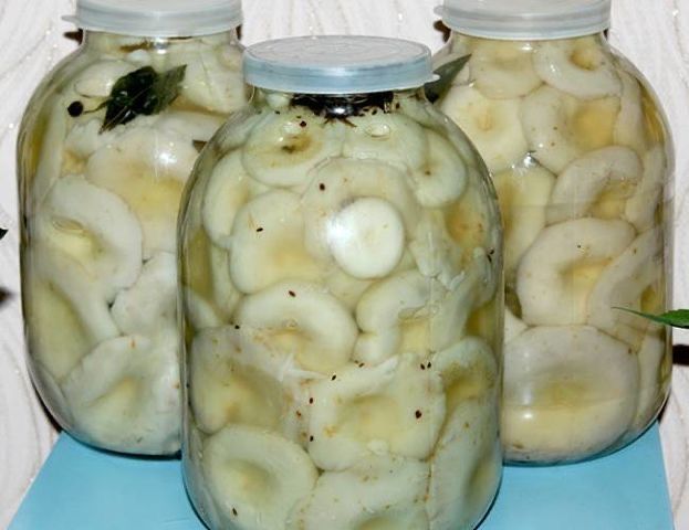 Продам грибы грузди