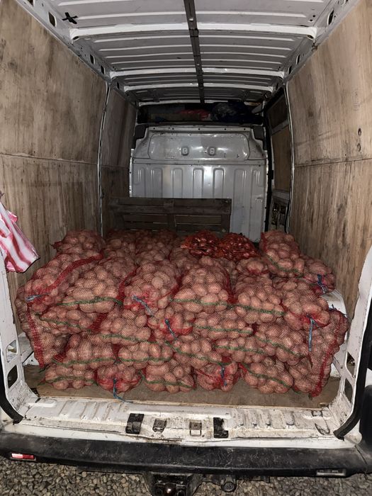 Vând cartofi bellarosa