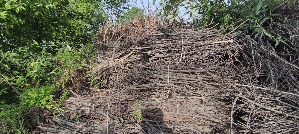 Quruq vogli otin sotiladi