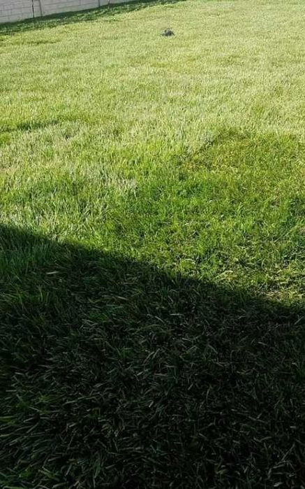 Gazon Rulou sisteme de Irigare