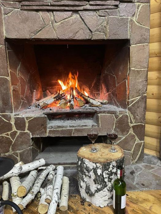 Аренда дома, коттедж в Боровом