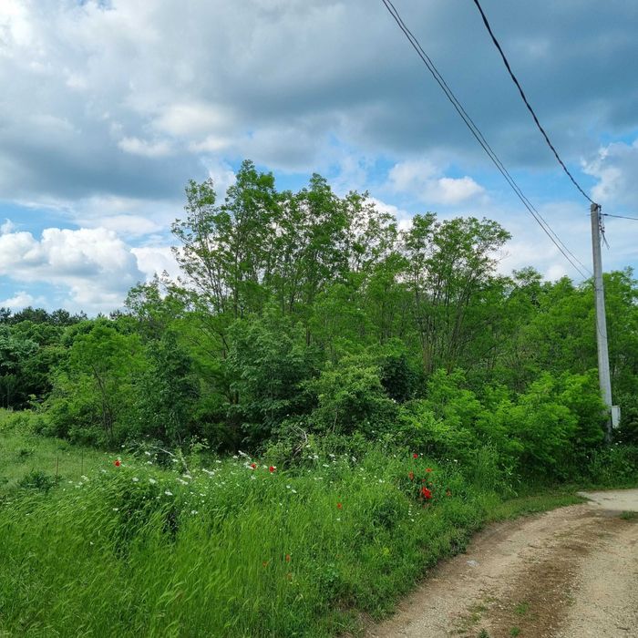 УПИ в Горна Трака с площ 881 кв.м
