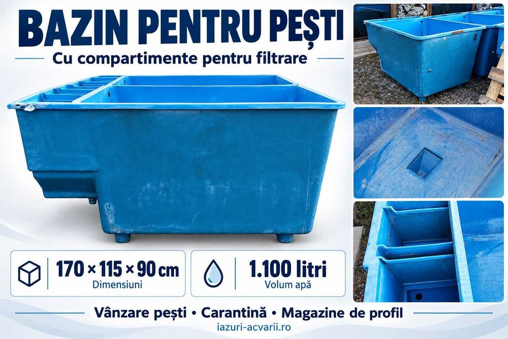Bazin pentru vinzare pesti