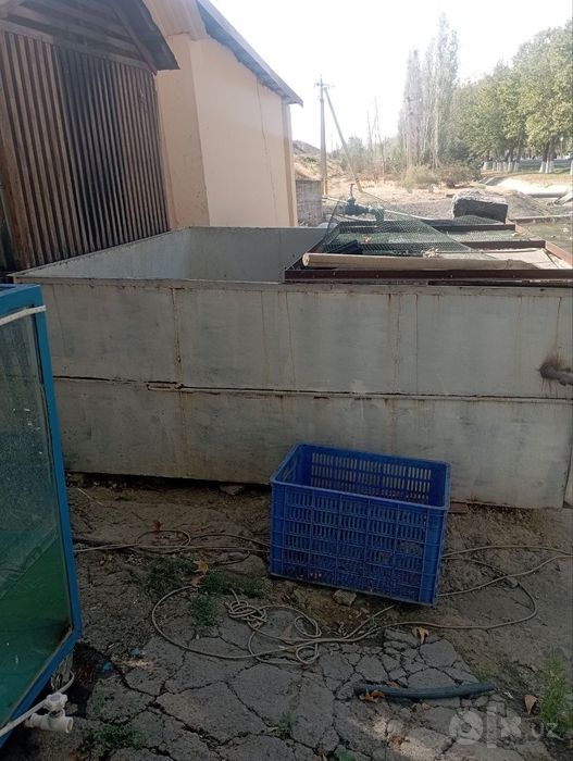 Baliq uchun akvarium yoki suv hovuz maqsadida foydalansa ham boʻladi