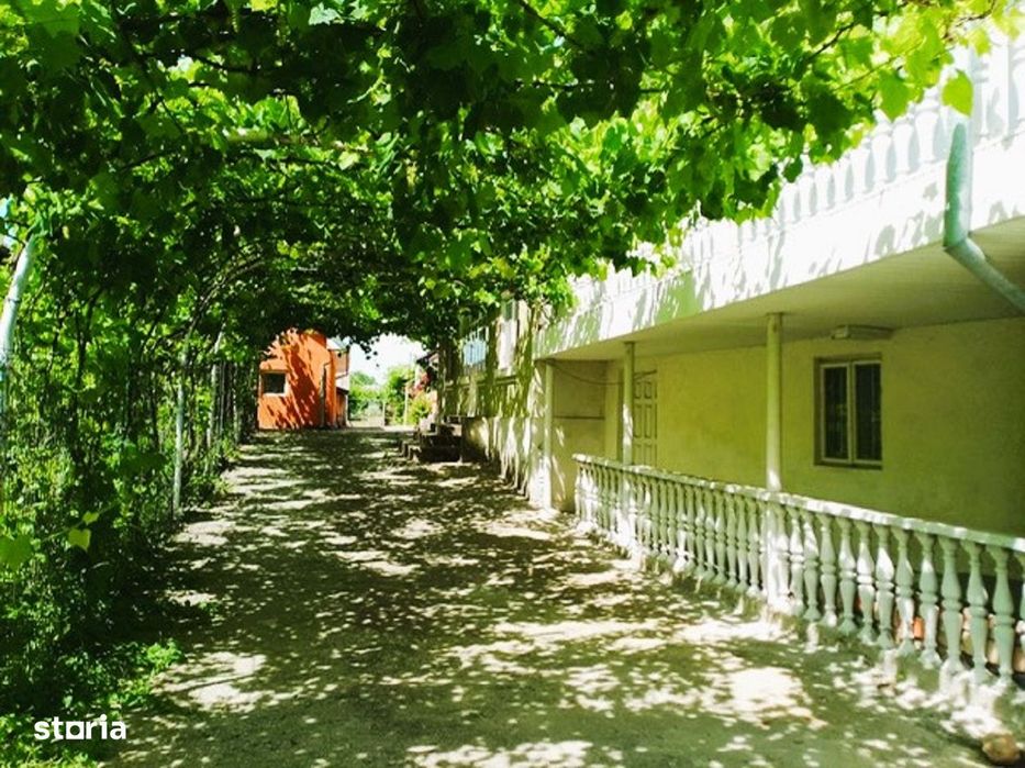 Gospodarie de vanzare in Plesoiu/Olt