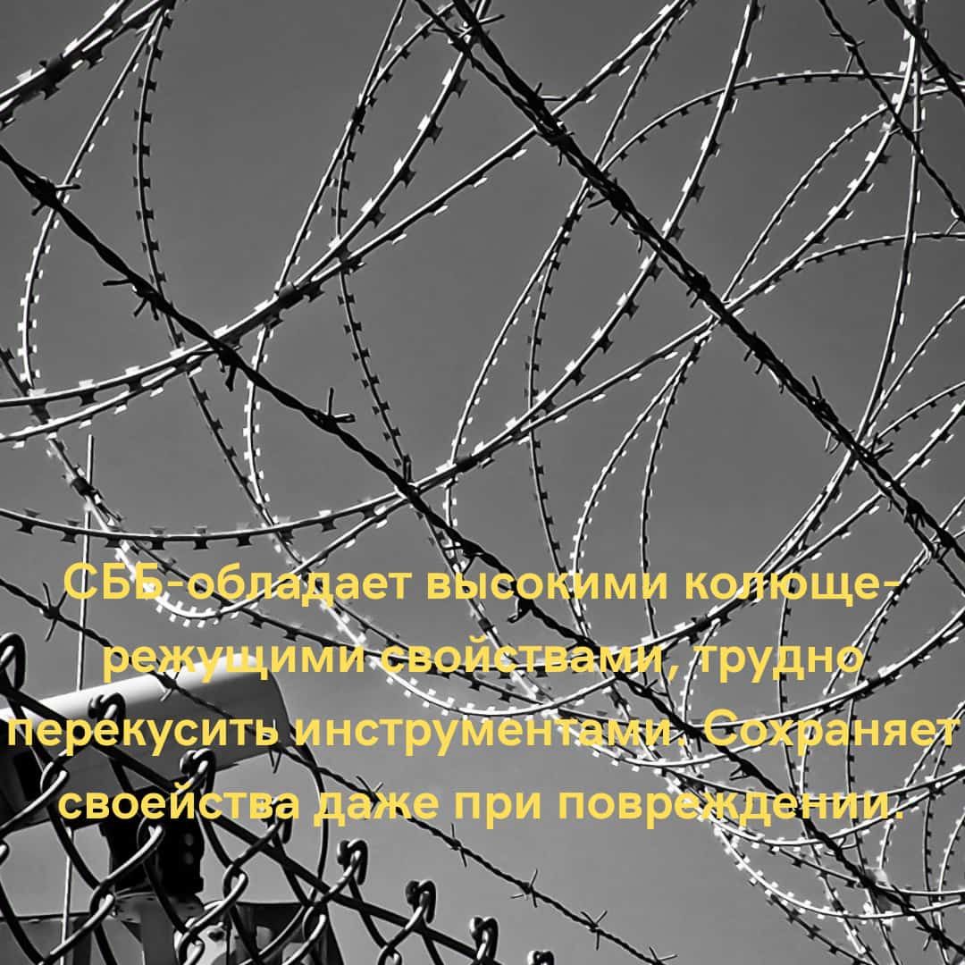СББ Егоза - колючая проволока - Прочий металлопрокат, арматура Алматы ...