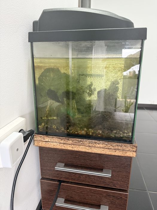 Acvariu Aquael 50l complet echipat