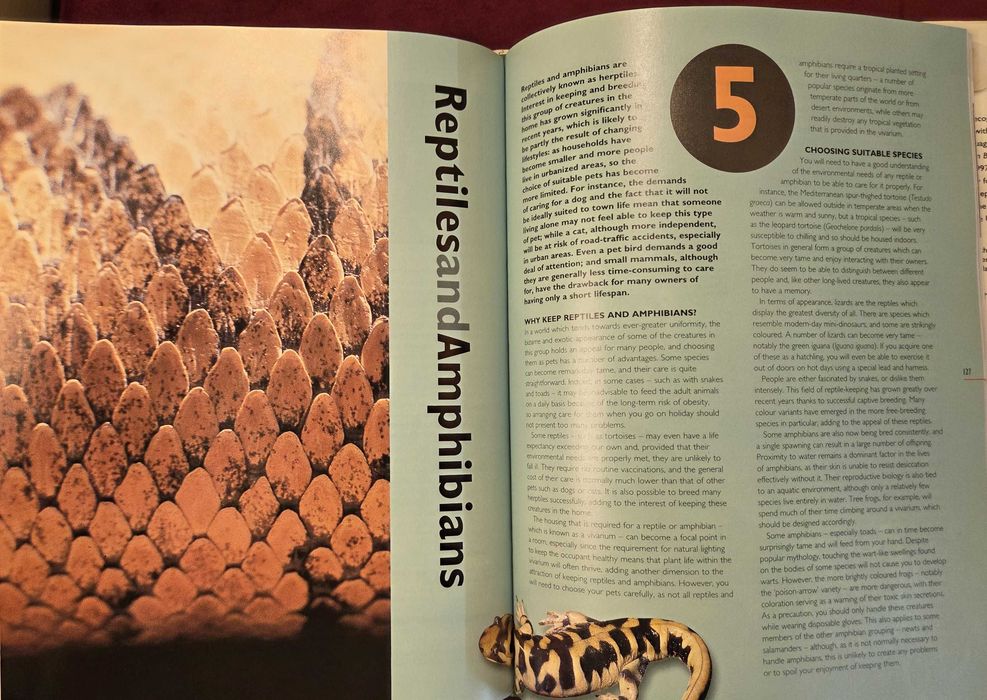 Енциклопедия за домашни любимци / The Hamlyn Family Pet Care Encyclopedia