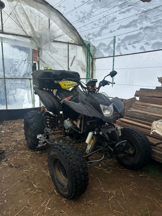 ATV Bashan Alaska 250cc