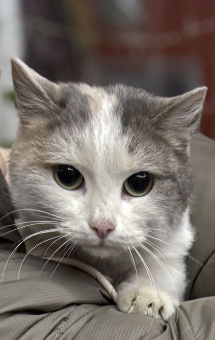 Беленькая девочка